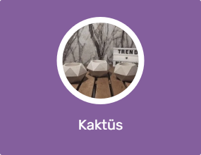Kaktüs