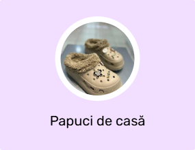 Papuci de casă