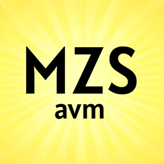 MZS Avm logo