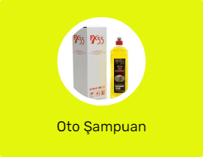 Oto Şampuan