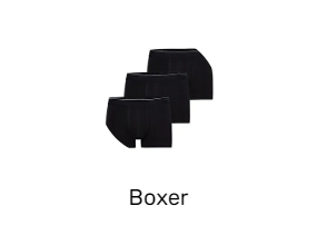 Boxer