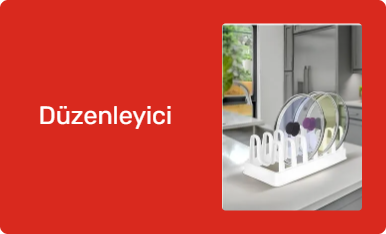 Düzenleyici
