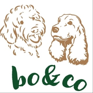 Bo&Co