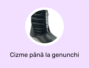 Cizme până la genunchi