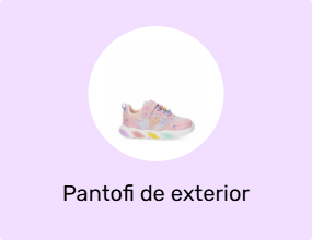 Pantofi de exterior