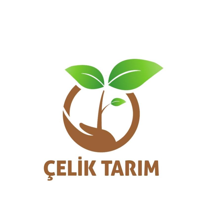 ÇELİK SERACILIK