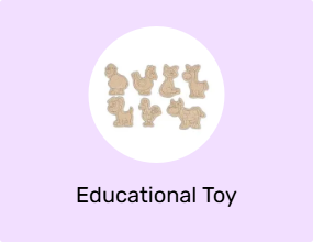 Educational Toy
