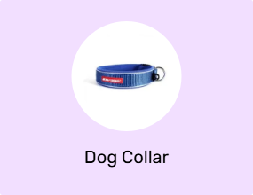 Dog Collar