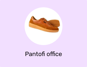 Pantofi office