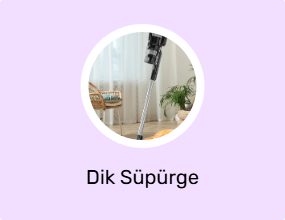 Dik Süpürge