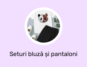 Seturi bluză și pantaloni