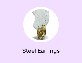 Steel Earrings