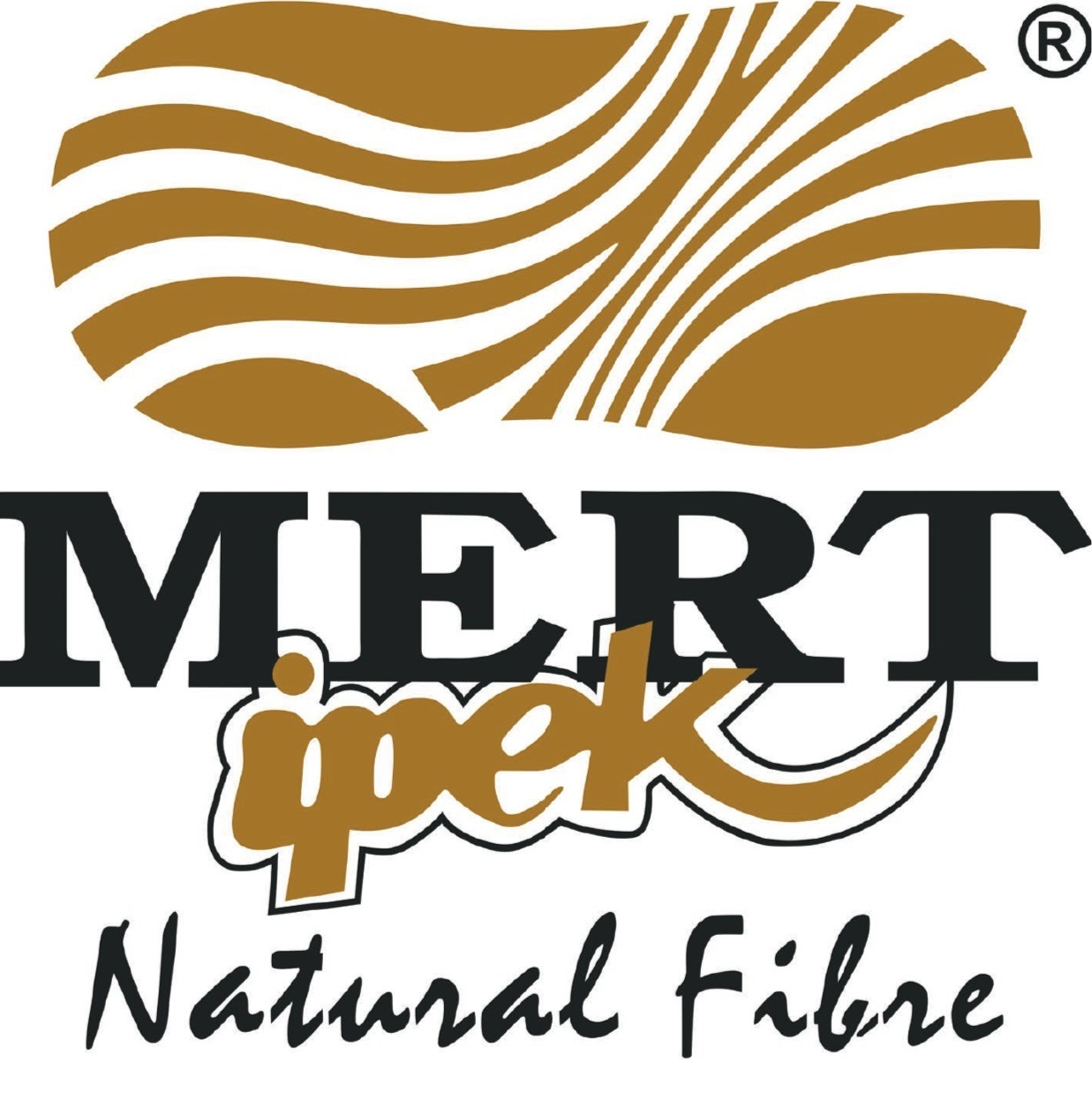 Mert İpek