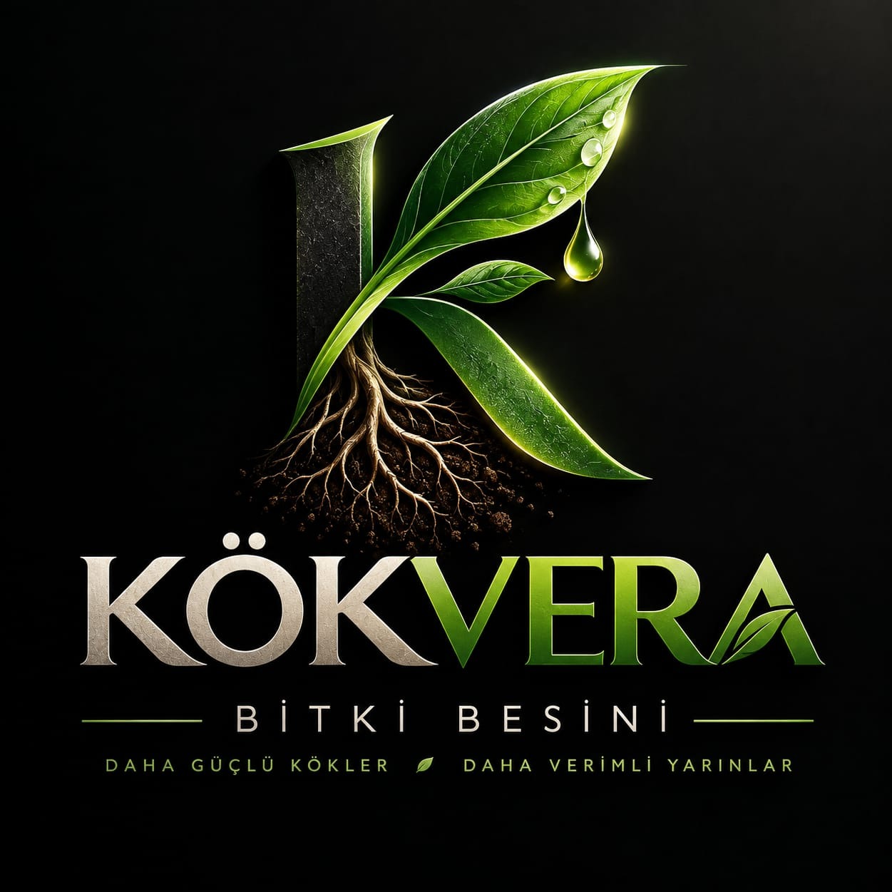 KÖKVERA