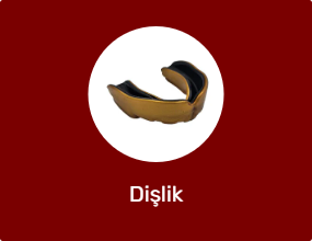 Dişlik