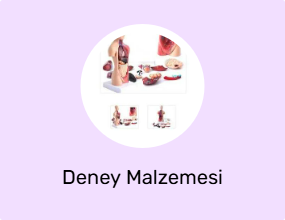 Deney Malzemesi