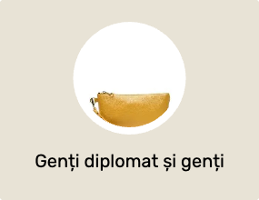 Genți diplomat și genți plic