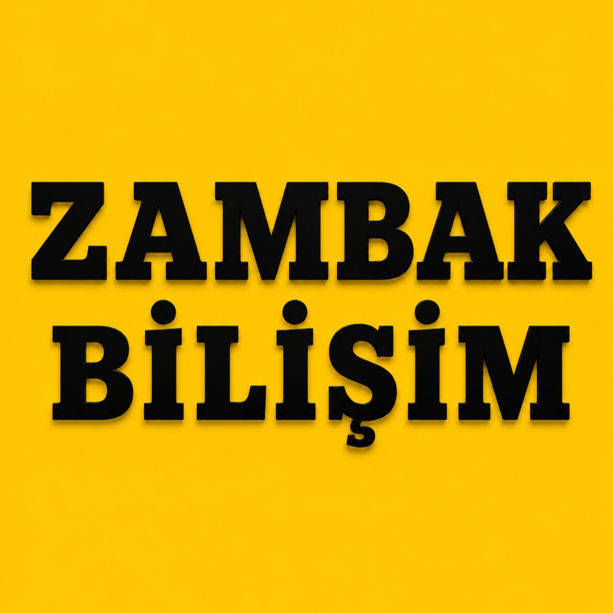 Zambak Bilişim