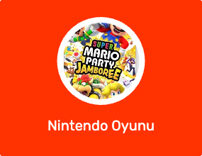 Nintendo Oyunu