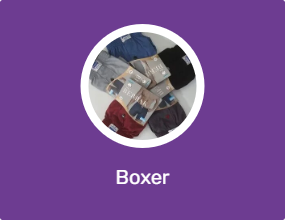 Boxer