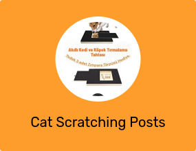Cat Scratching Posts