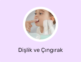 Dişlik ve Çıngırak