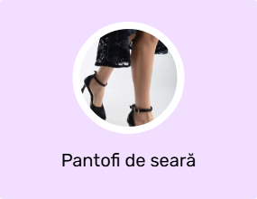 Pantofi de seară