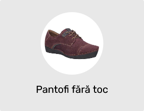 Pantofi fără toc