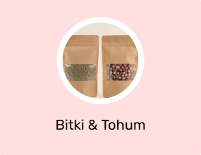 Bitki & Tohum