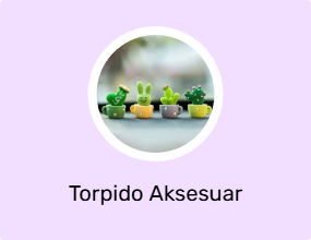 Torpido Aksesuar