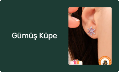 Gümüş Küpe