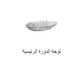 لوحة الدورة الرئيسية