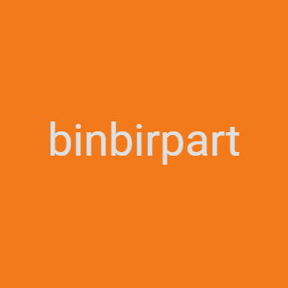 binbirpart