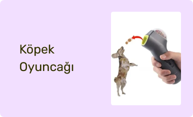 Köpek Oyuncağı