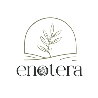 Enotera