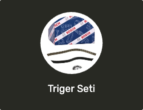 Triger Seti
