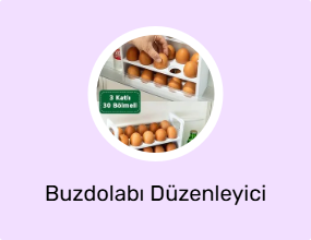 Buzdolabı Düzenleyici