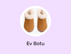 Ev Botu
