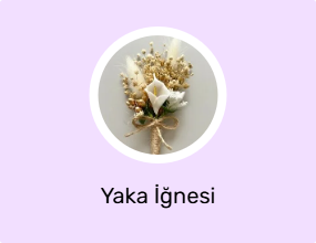 Yaka İğnesi