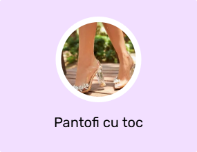 Pantofi cu toc