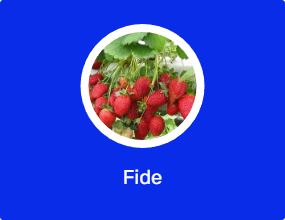 Fide