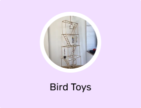 Bird Toys