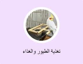 تغذية الطيور والغذاء