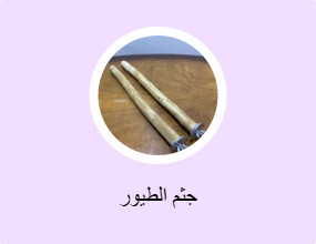 جثم الطيور