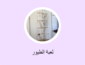 لعبة الطيور