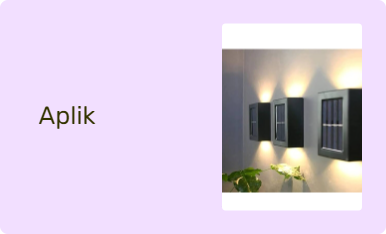 Aplik