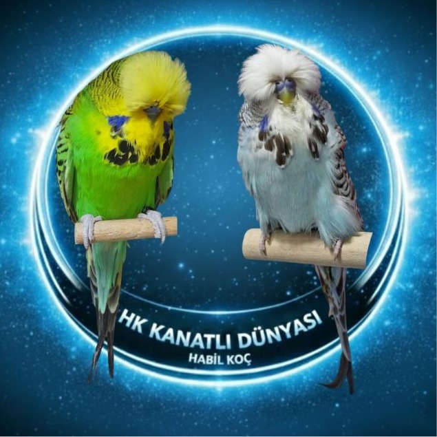 HK Kanatlı Dünyası