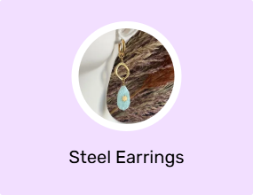Steel Earrings