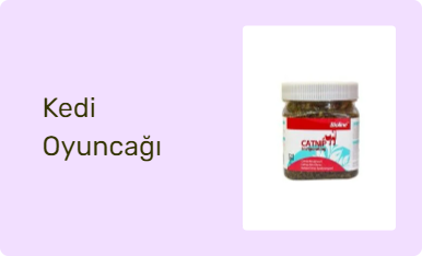 Kedi Oyuncağı