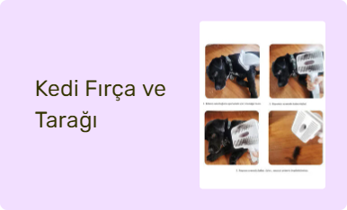 Kedi Fırça ve Tarağı